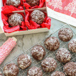 dark chocolate crinkle cookies and the great food blogger cookie swap