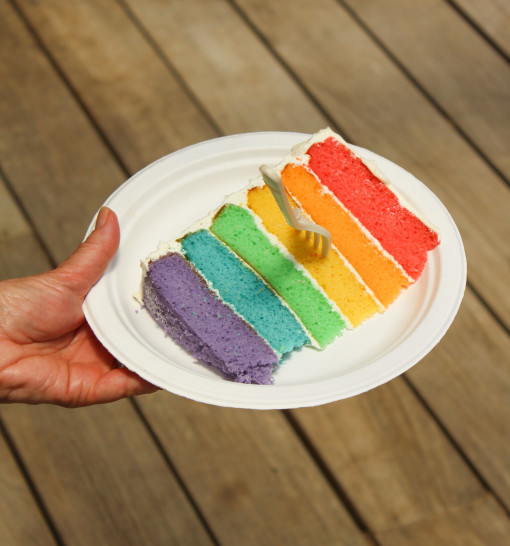 rainbow cake slice www.girlontherange.com